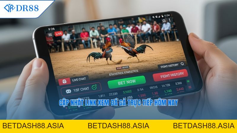 ĐÁ GÀ - DR88 - BETDASH88.ASIA ĐÁ GÀ - DR88 - BETDASH88.ASIA