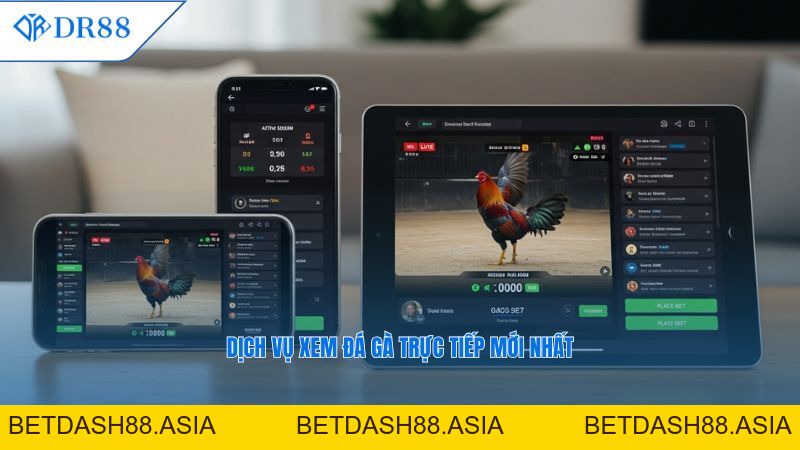 DR88: Cập Nhật Đá Gà Trực Tiếp Hôm Nay – Link Xem Các Trận đấu Mới Nhất - DR88 - BETDASH88.ASIA