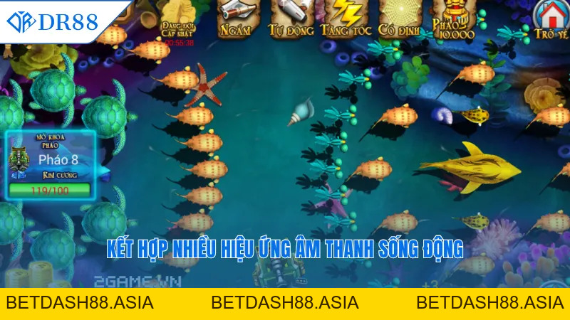 Bắn Cá Siêu Thị DR88 - Trải Nghiệm Hấp Dẫn Khó Quên - DR88 - BETDASH88.ASIA Bắn Cá Siêu Thị DR88 - Trải Nghiệm Hấp Dẫn Khó Quên - DR88 - BETDASH88.ASIA