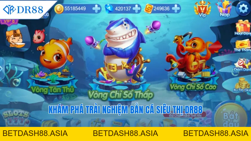 Bắn Cá Siêu Thị DR88 - Trải Nghiệm Hấp Dẫn Khó Quên - DR88 - BETDASH88.ASIA Bắn Cá Siêu Thị DR88 - Trải Nghiệm Hấp Dẫn Khó Quên - DR88 - BETDASH88.ASIA