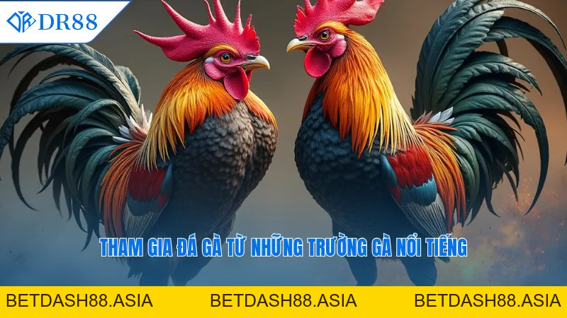 Dr88 Tailstoken - Link Trang Chủ Nhà Cái DR88 COM - Lộc T8 +888K - BETDASH88.ASIA