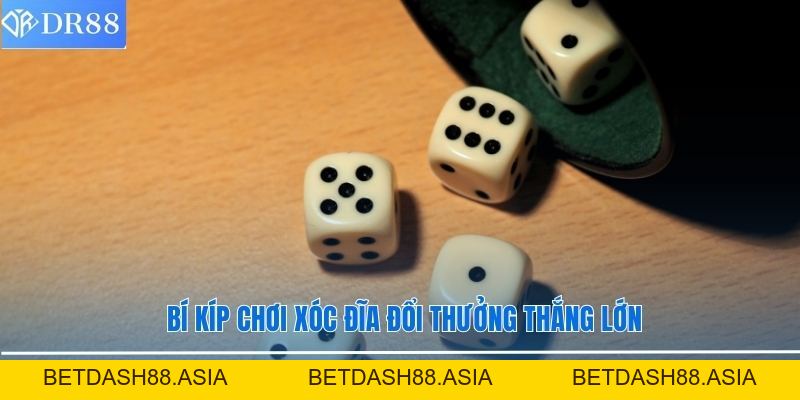 Game Xóc Đĩa Đổi Thưởng DR88 - Trò Chơi Giải Trí Thú Vị - BETDASH88.ASIA