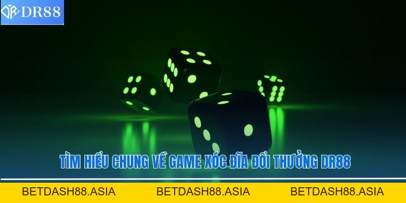 Game Xóc Đĩa Đổi Thưởng DR88 - Trò Chơi Giải Trí Thú Vị - BETDASH88.ASIA