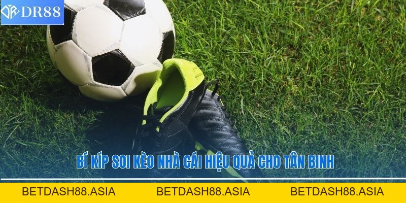 Tỷ Lệ Kèo Nhà Cái DR88 Cập Nhật Chi Tiết Và Chuẩn Xác - BETDASH88.ASIA