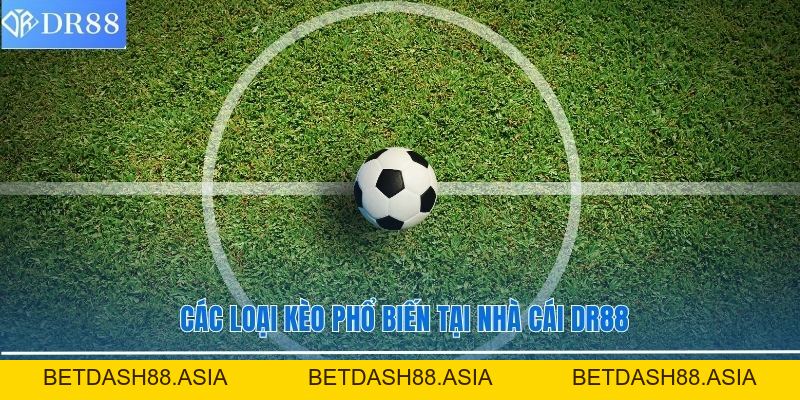 Tỷ Lệ Kèo Nhà Cái DR88 Cập Nhật Chi Tiết Và Chuẩn Xác - BETDASH88.ASIA