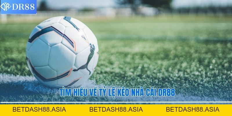 Tỷ Lệ Kèo Nhà Cái DR88 Cập Nhật Chi Tiết Và Chuẩn Xác - BETDASH88.ASIA
